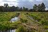 Sawbridgeworth Marsh