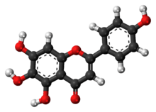 Ball-and-stick model of scutellarein