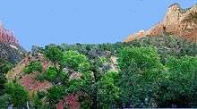 Lobe with trees on top below cliff