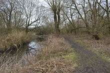 Stanborough Reedmarsh