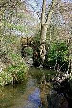 Photograph of a stream covered by vegetation. At the distance, a bridge appears.