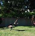 Street Acrobats in DC - 2013-06-07 - 05.JPG