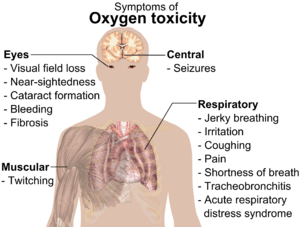 A diagraph showing a man torso and listing symptoms of oxygen toxicity: Eyes – visual field loss, near)sightedness, cataract formation, bleeding, fibrosis; Head – seizures; Muscles – twitching; Respiratory system – jerky breathing, irritation, coughing, pain, shortness of breath, tracheobronchitis, acute respiratory distress syndrome.