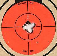 Target 223 Savage 10FP 5 shot closeup.jpg