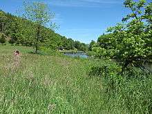 The south fork of the New River in Todd, NC