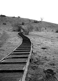 The steps on St Catherine's Hill, Winchester