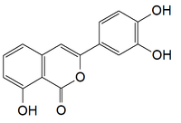 Chemical structure of thunberginol A