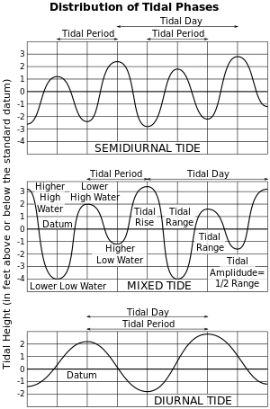 Three graphs. The first shows the twice-daily rising and falling tide pattern with nearly regular high and low elevations. The second shows the much more variable high and low tides that form a "mixed tide". The third shows the day-long period of a diurnal tide.