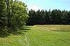 A mowed field in the center, an unmowed field at right, woods at left and in the background