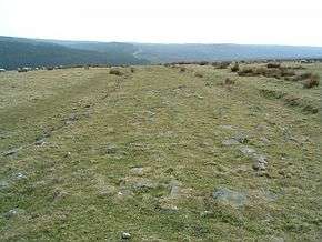 Photograph of Wade's Causeway, taken in 2005, showing the stone surface almost completely hidden by vegetation