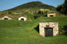 Colour photo.  Strongly embedded in the folds of a grassy valley, four small buildings in irregular stone masonry, with flat or sloped roofs, with barred doors, the entrance of the cellars are sunk into the ground.  In the background the bushy land rises gently to the wooded hill which stands against a uniformly blue sky.