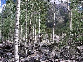 Aspen Weminuche Wilderness