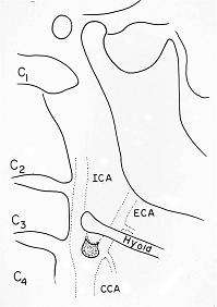 X-ray64B