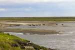 Lena Delta Zapovednik